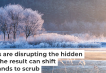 Warmer winters in normally snowy places can interfere with the important activities of microbes in the soil. Seogi/500px via Getty Images